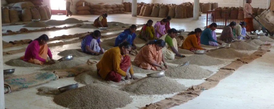 selección café de especialidad