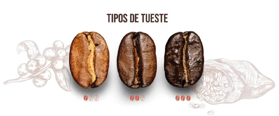 tipos de tueste