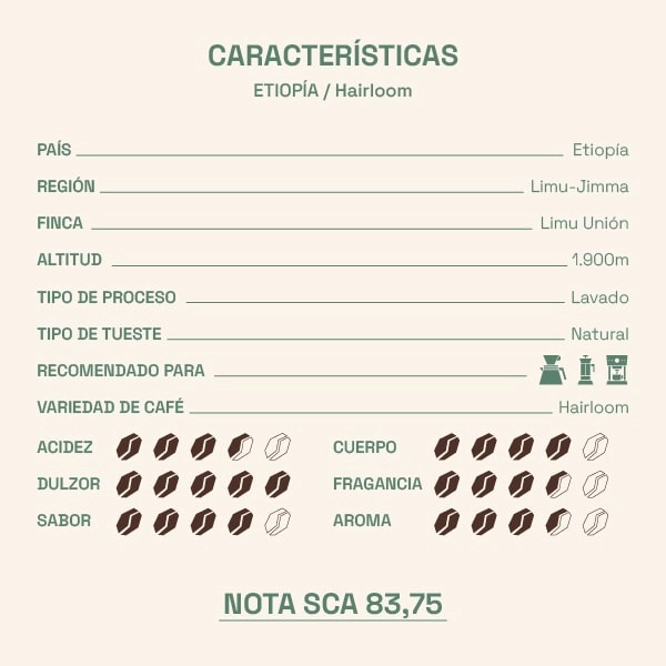 características del café de etiopía
