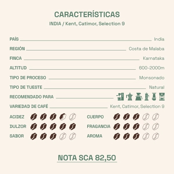 características del café de india