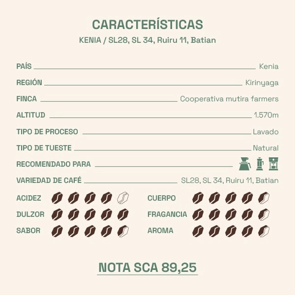 características del café de kenia