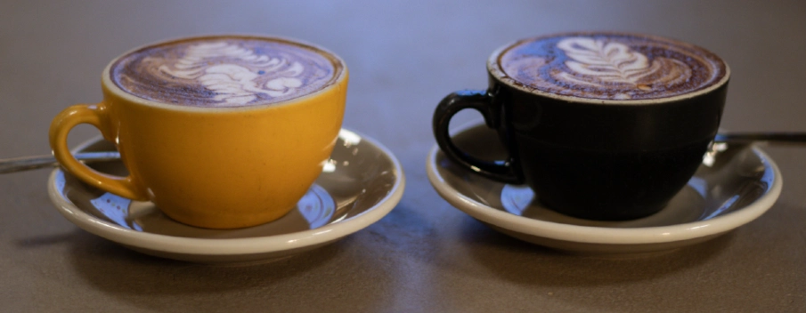 como elegir el grano de café