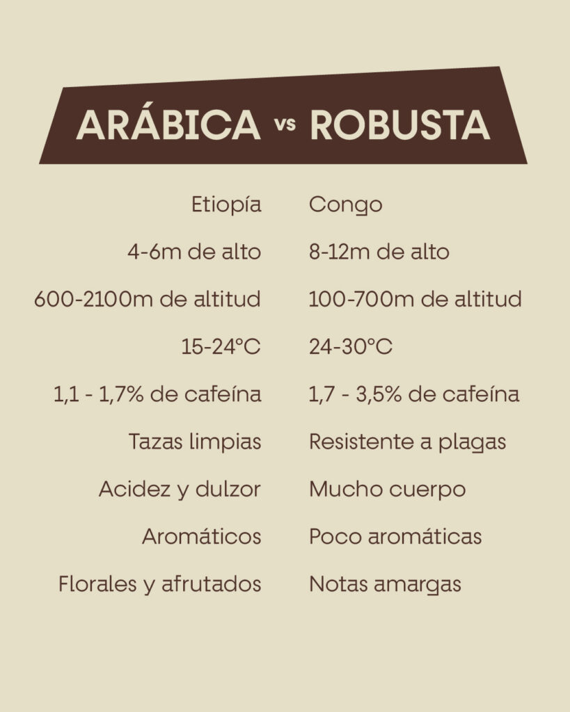 diferencias arábica y robusta