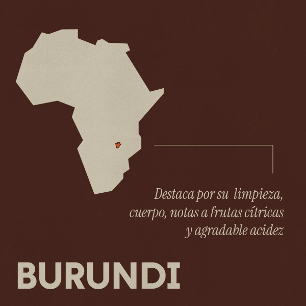 café especialidad burundi