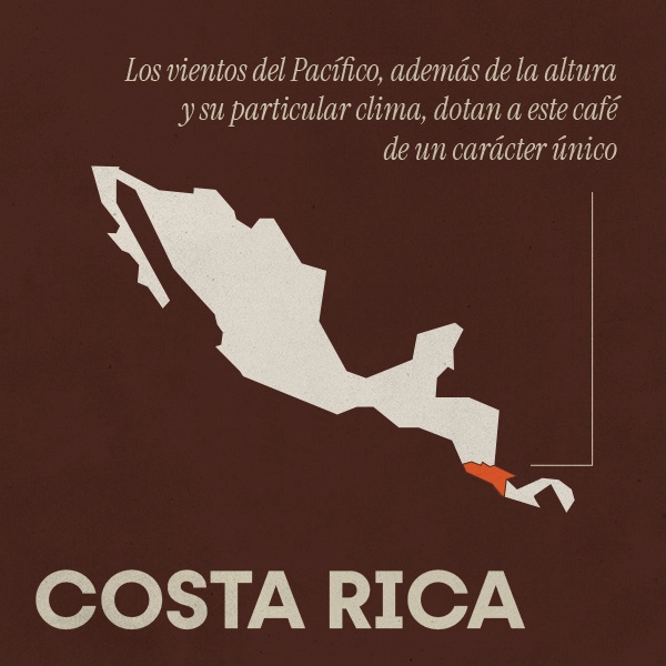 comprar café costa rica
