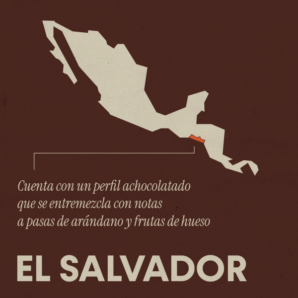 comprar café el salvador