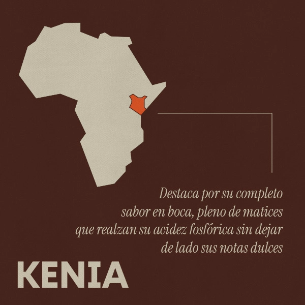 comprar café kenia